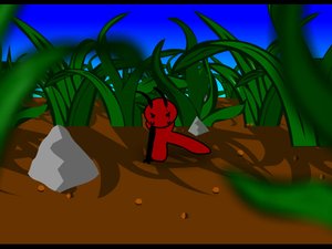 小红蚁探险