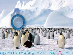 南极找数字