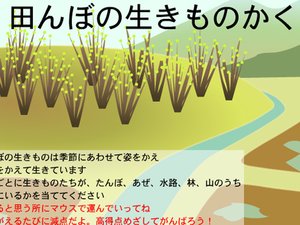 稻田生态系统