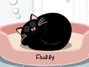 小黑猫厨房探险