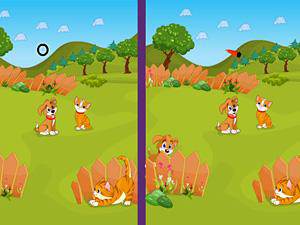 猫猫狗狗找找茬