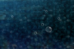 深海水泡