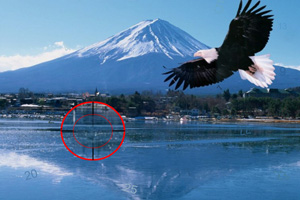 富士山找数字